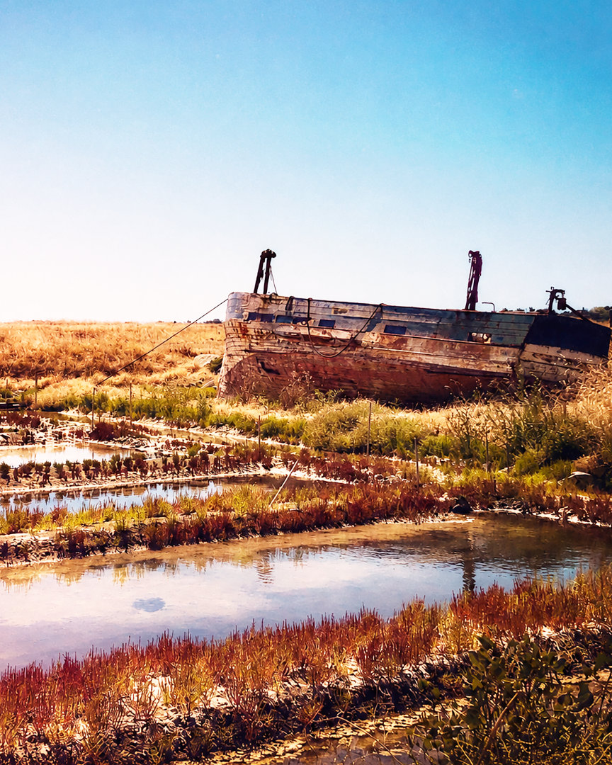 Abandoned boat and waterside landscape, image from ERICZO's original Memento preview